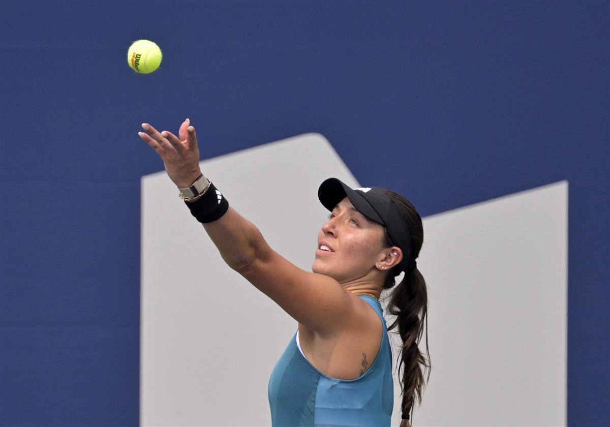 这是一个展 这是一个展