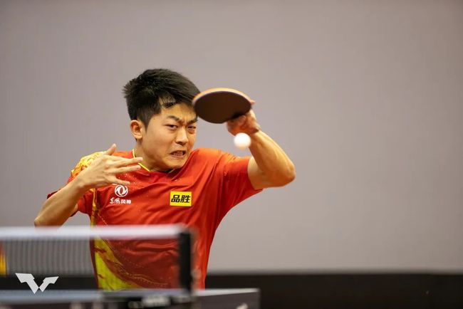 引了全球观 引了全球观