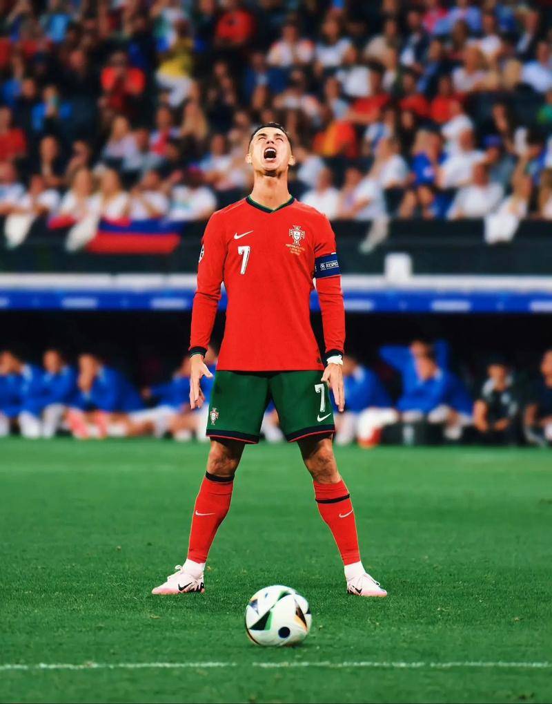 但皇家社会 但皇家社会