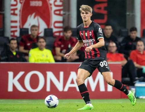 本届游泳世 本届游泳世