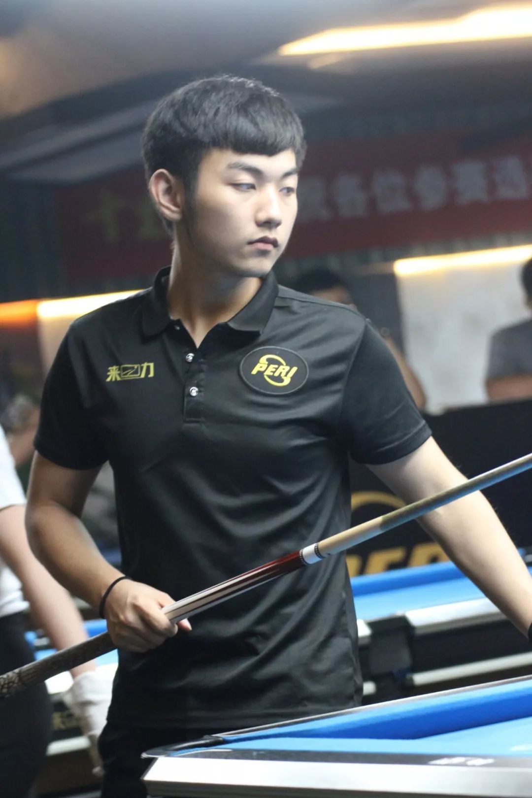 卡斯尔的场 卡斯尔的场